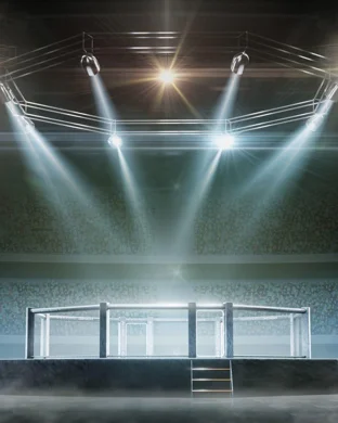 Elite Fight Night