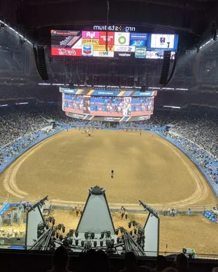 D&D Pro Rodeo