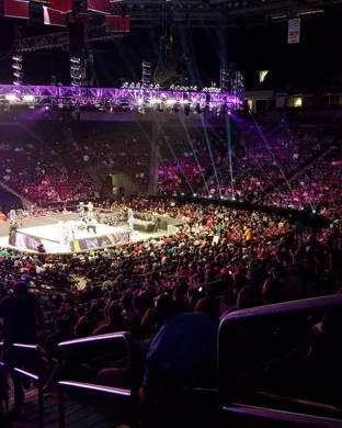 Little Mania Mini Wrestling