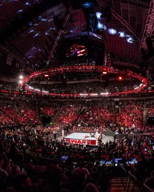 All Elite Wrestling: All Out